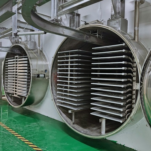 Vacuum Freeze Dryer Lyophilizer
